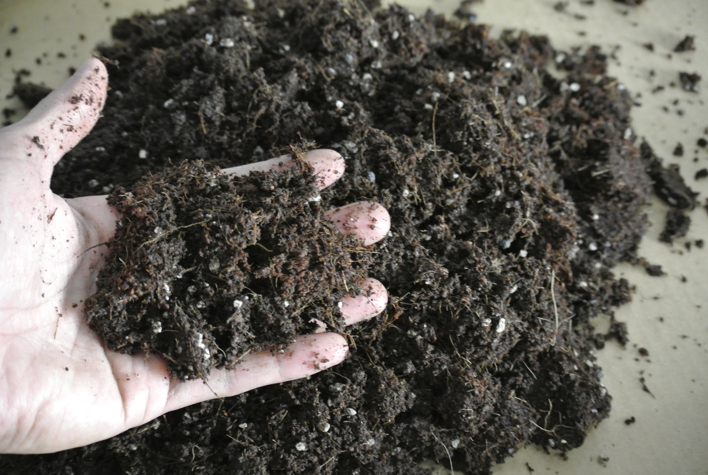 2-liter SOIL-LESS POTTING MIX FOR ALL PURPOSE -  Best Growing Media for Potted Plants (Better than Garden Soil or Loam Soil)