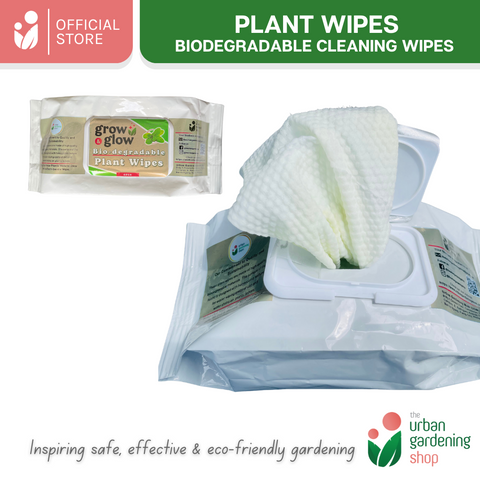 Bio-degradable Plant Wipes (40 sheets) - For Plant Cleaning and Leaf Shine