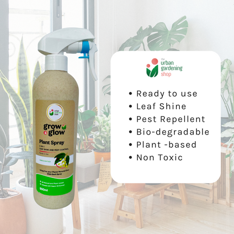 500ml Grow & Glow - Plant Spray For Leaf Cleaning, Shine and Protection