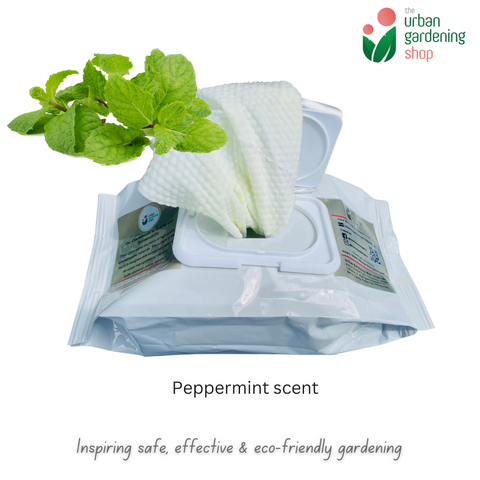 Bio-degradable Plant Wipes (40 sheets) - For Plant Cleaning and Leaf Shine