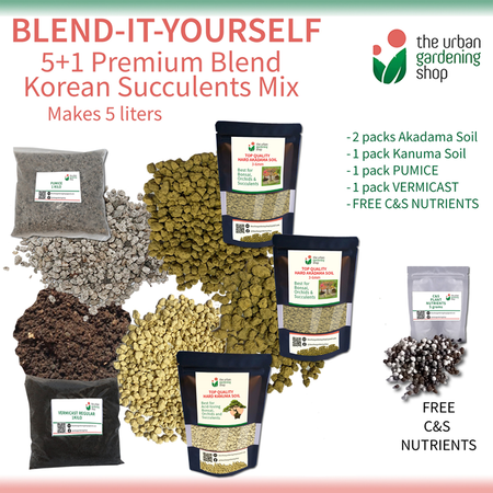 The Urban Gardening Shop 5+1 Pack "Blend it Yourself" Premium Mix for Cactus And Succulents