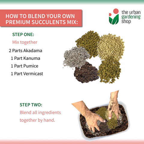 The Urban Gardening Shop 5+1 Pack "Blend it Yourself" Premium Mix for Cactus And Succulents