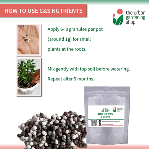 The Urban Gardening Shop 5+1 Pack "Blend it Yourself" Premium Mix for Cactus And Succulents