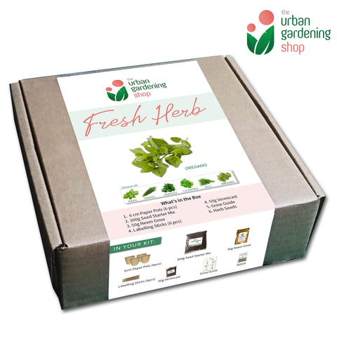HERB SEED STARTER KITS by The Urban Gardening Shop