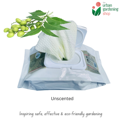 Bio-degradable Plant Wipes (40 sheets) - For Plant Cleaning and Leaf Shine