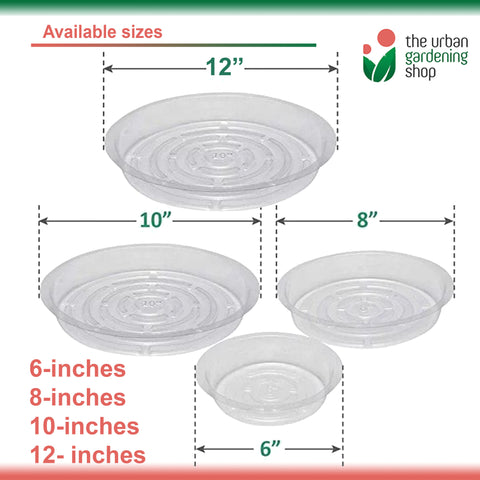 TRANSPARENT PLANT SAUCERS (5-pcs per set - new packaging)  Elegant-looking Clear Round Plastic Plant Saucers