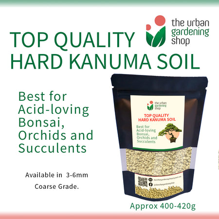 KANUMA SOIL - Top Quality Bonsai Soil for Potted Plants Bonsai and Succulents