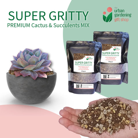 SUPER GRITTY PREMIUM 4-in-1 CACTUS & SUCCULENTS POTTING MIX  -  High Quality Blend with Akadama, Kanuma Vermicast and Pumice