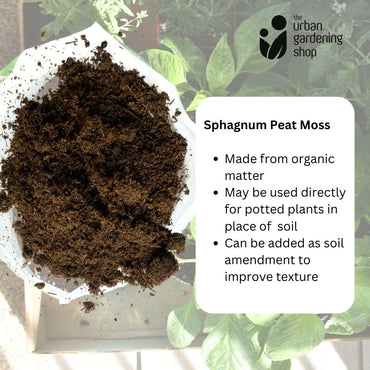 SPHAGNUM PEAT MOSS Premium Potting Soil Substitute