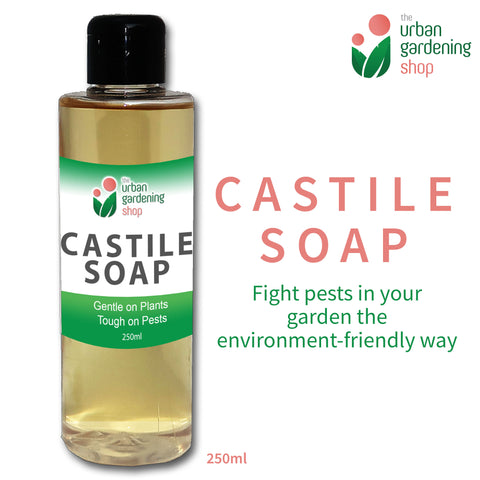 LIQUID CASTILE SOAP  Organic Pesticide, Safe, Environment-friendly and Non-toxic Pest Control for the Garden