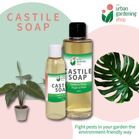 LIQUID CASTILE SOAP  Organic Pesticide, Safe, Environment-friendly and Non-toxic Pest Control for the Garden