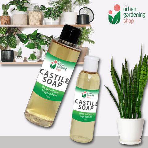 LIQUID CASTILE SOAP  Organic Pesticide, Safe, Environment-friendly and Non-toxic Pest Control for the Garden