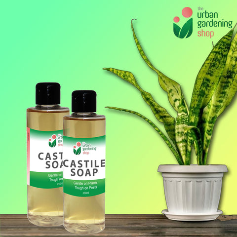 LIQUID CASTILE SOAP  Organic Pesticide, Safe, Environment-friendly and Non-toxic Pest Control for the Garden
