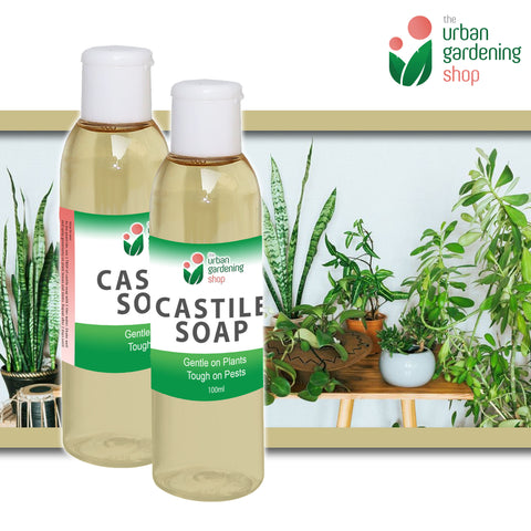 LIQUID CASTILE SOAP  Organic Pesticide, Safe, Environment-friendly and Non-toxic Pest Control for the Garden